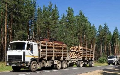 Лесовозы для перевозки леса, аренда и услуги. - Медведево, заказать или взять в аренду