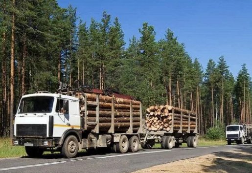 Лесовоз Лесовозы для перевозки леса, аренда и услуги. взять в аренду, заказать, цены, услуги - Медведево