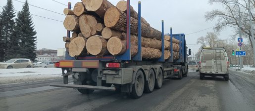 Поиск транспорта для перевозки леса, бревен и кругляка стоимость услуг и где заказать - Йошкар-Ола